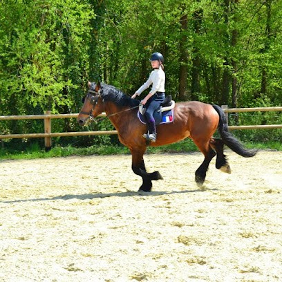 ECURIES DE LA CHAUSSEE, Pension pour Chevaux à Puisieux