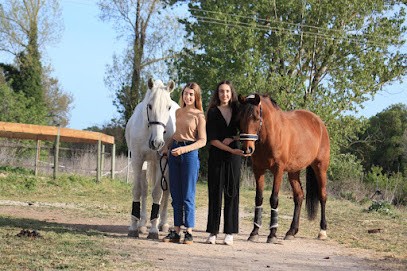 CENTRE EQUESTRE PACHKA, Centre Equestres à Saussan