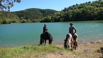 Les Poun's En Herbe, Centre Equestres à Montauroux