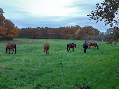 Stables De Valanto, Centre Equestres à Velles