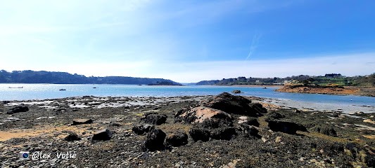 Pony Club The Island À Bois, Centre Equestres à Lézardrieux