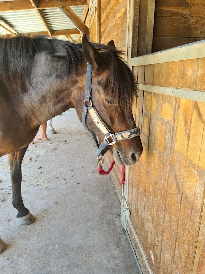 PONEY CLUB LA REBOUSSE, Centre Equestres à Courthézon