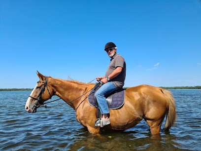Les Ecuries de l’Hacienda, Centre Equestres à Parentis-en-Born