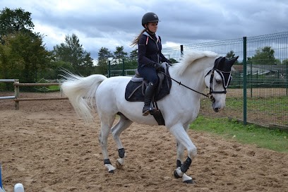 Les Ecuries De La Faisanderie, Centre Equestres à Fontainebleau