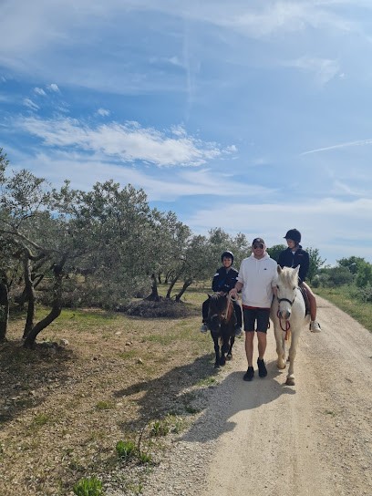 Le Haras De La Tuilliere, Centre Equestres à Rognac