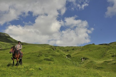 Centre Equestre CantaL' EquiLibre, Centre Equestres à Lascelle