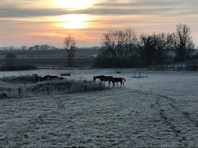 Ecuries Goosse, Centre Equestres à Craonnelle