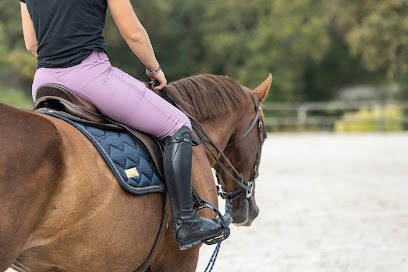 Equestrian Center Lann Er Roch, Centre Equestres à Ploemeur