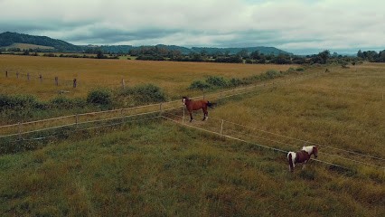 Ecurie Du Schal, Centre Equestres à Geville