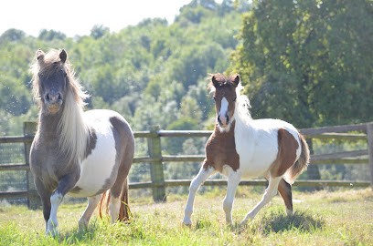 La Ferme Équestre Des Cilex, Centre Equestres à Valsemé