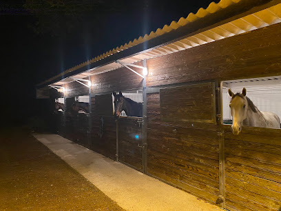 Haras De Vonnas Pension Pour Chevaux à Saint-Julien-sur-Veyle