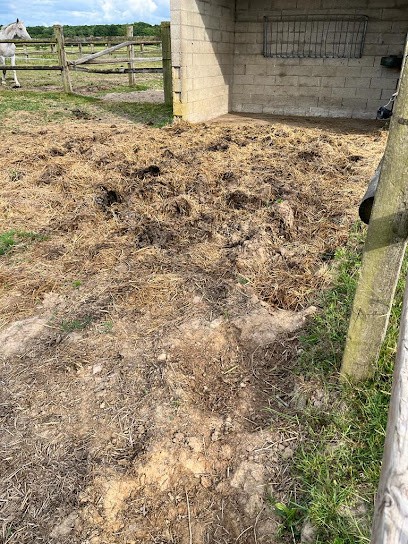 Écuries Du Phénix, Pension pour Chevaux à Champlat-et-Boujacourt