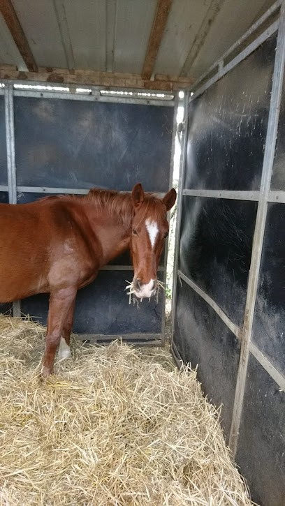 Equestrian Center Du Mai, Centre Equestres à Ponchon