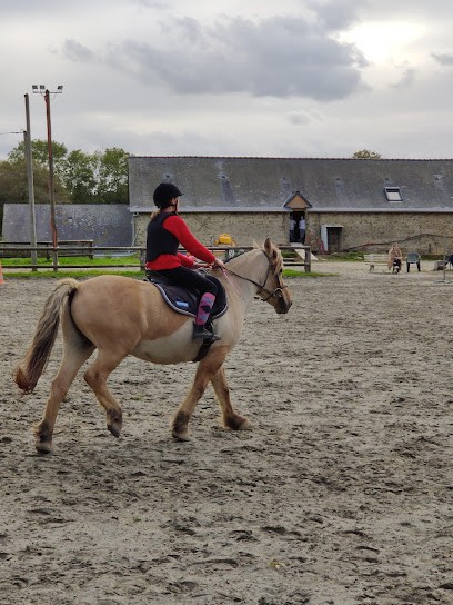 Pony Club Grenoux, Centre Equestres à Saint-Berthevin