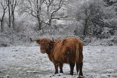 L'îlot Zanimo, Ferme Pédagogique Equestre, Centre Equestres à Sallertaine