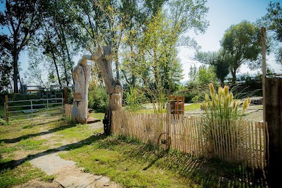 Blue Grass Ranch, Centre Equestres à Krautergersheim