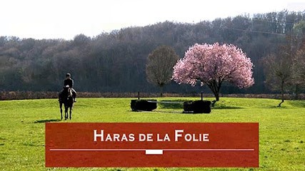 Haras De La Folie, Centre Equestres à Maintenon