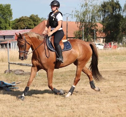Association Equestrian De Dieuze, Centre Equestres à Dieuze
