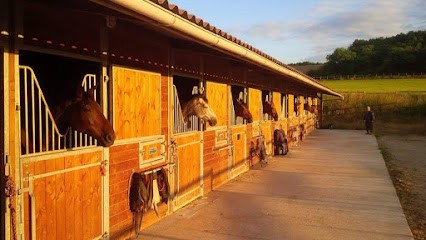 Ecuries Des G, Centre Equestres à Milly-la-Forêt