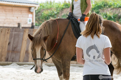 Ecurie De L'everest, Pension Pour Chevaux à Goulven