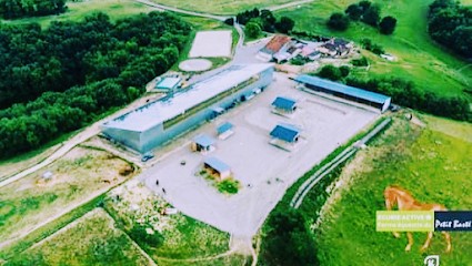 Eurl Small Baste, Pension pour Chevaux à Pessan