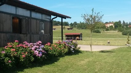 Élevage De La Mûre, Centre Equestres à Saint-Just-Saint-Rambert