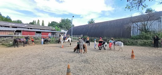 Horse Stables Dammartin, Centre Equestres à Dammartin-en-Goële