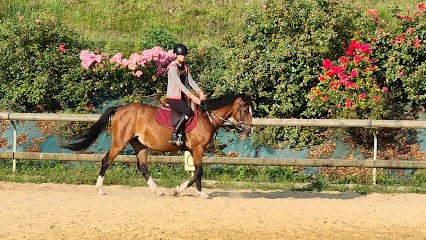 ECURIES DU ROSIER, Centre Equestres à Saint-Paul-de-Serre