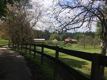 Haras de Botozel, Pension pour Chevaux à Traize