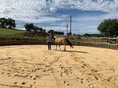 Les Grands Prés, Pension pour Chevaux à L'Isle-Jourdain