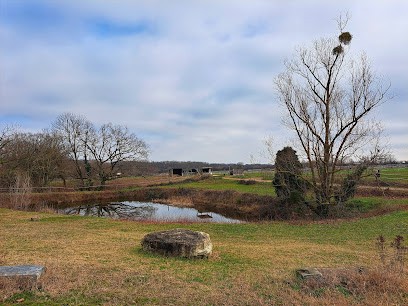 Écurie Des Terres D'Or - Marcy L'étoile, Centre Equestres à Marcy-l'Étoile