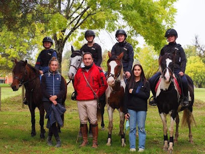 Equestrian Center Des Etablières, Centre Equestres à La Roche-sur-Yon