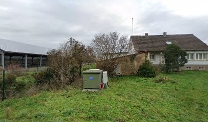 Les Écuries De La Forêt, Pension pour Chevaux à Brumath