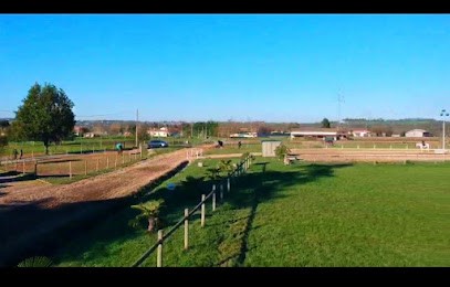 Sarl Equestrian Center De La Palatie, Centre Equestres à Saint-Juéry