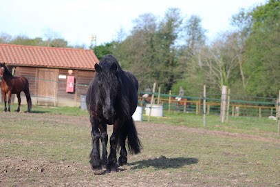 SOCIETE HIPPIQUE NATIONALE DE DAX, Centre Equestres à Dax