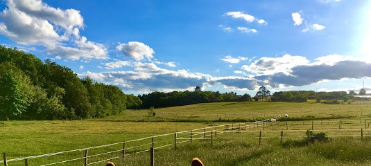 Ecurie DEHEMES - Mathieu CORREIA, Centre Equestres à Messigny-et-Vantoux