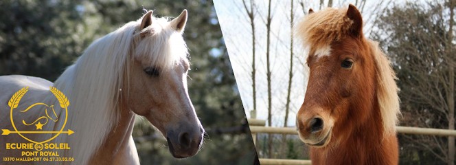 Centre Équestre Écurie Du Soleil, Centre Equestres à Mallemort