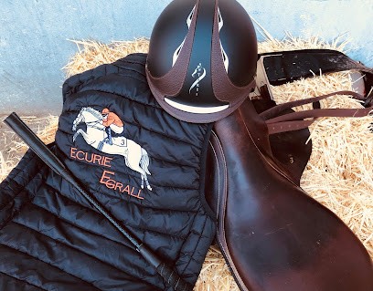 Ecurie Erwan Grall, Centre Equestres à Nort-sur-Erdre