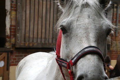 Cercle Hippique Du Bois De Vincennes - Ecole Riding / Pas De Balade, Centre Equestres à Nogent-sur-Marne