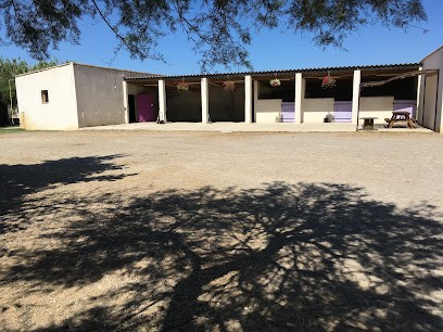 Horseback riding / Pony Club Salines, Centre Equestres à Villeneuve-lès-Maguelone