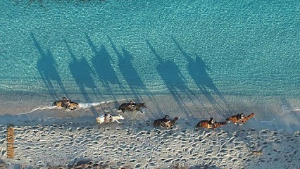 Centre Equestre Equiloisirs-FAE, Centre Equestres à Corte