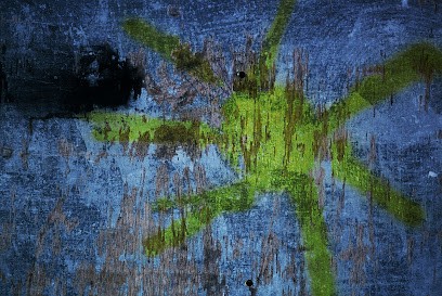 Chocron Nathalie, Centre Equestres à Lyon 07