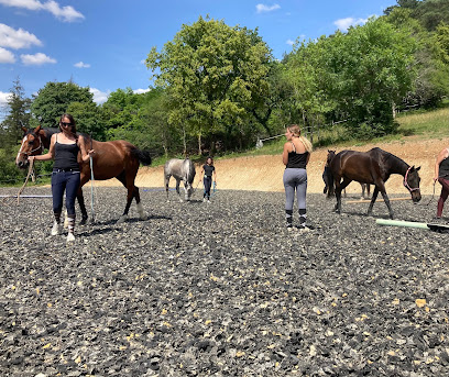 Écurie De Laurvale, Pension Pour Chevaux à Thonnance-lès-Joinville