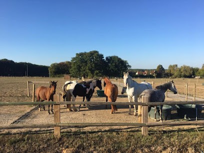 Ecurie Blumenfeld, Centre Equestres à Dourdan
