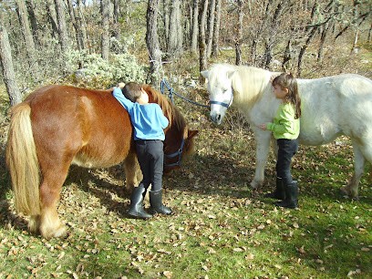 Mon Ami Poney Nice Saint Blaise, Centre Equestres à Saint-Blaise