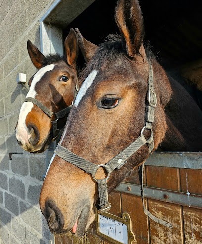Les Ecuries De La Peupleraie, Centre Equestres à Hénin-Beaumont
