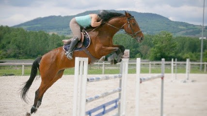 Ecurie Morgane Saby Centre Équestre, Valorisation, Poney Club, Pensions Et Balades À Cheval, Centre Equestres à Vic-le-Comte