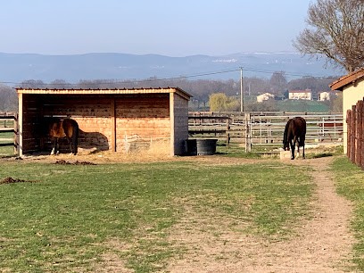 Loliban's Écuries, Pension pour Chevaux à Chambéon