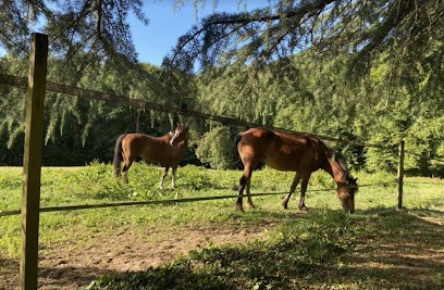 Poney-Club Saint Sauveur Les Écuries De L'emeraude, Centre Equestres à Saint-Sauveur