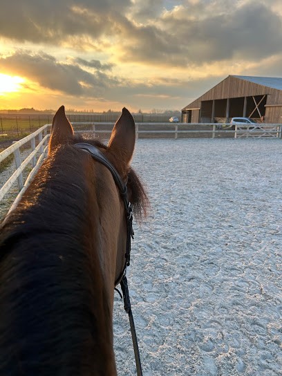Haras Des Blanpins, Centre Equestres à Servon